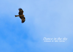 『Dance in the sky』