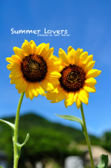 Summer lovers