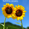 Summer lovers