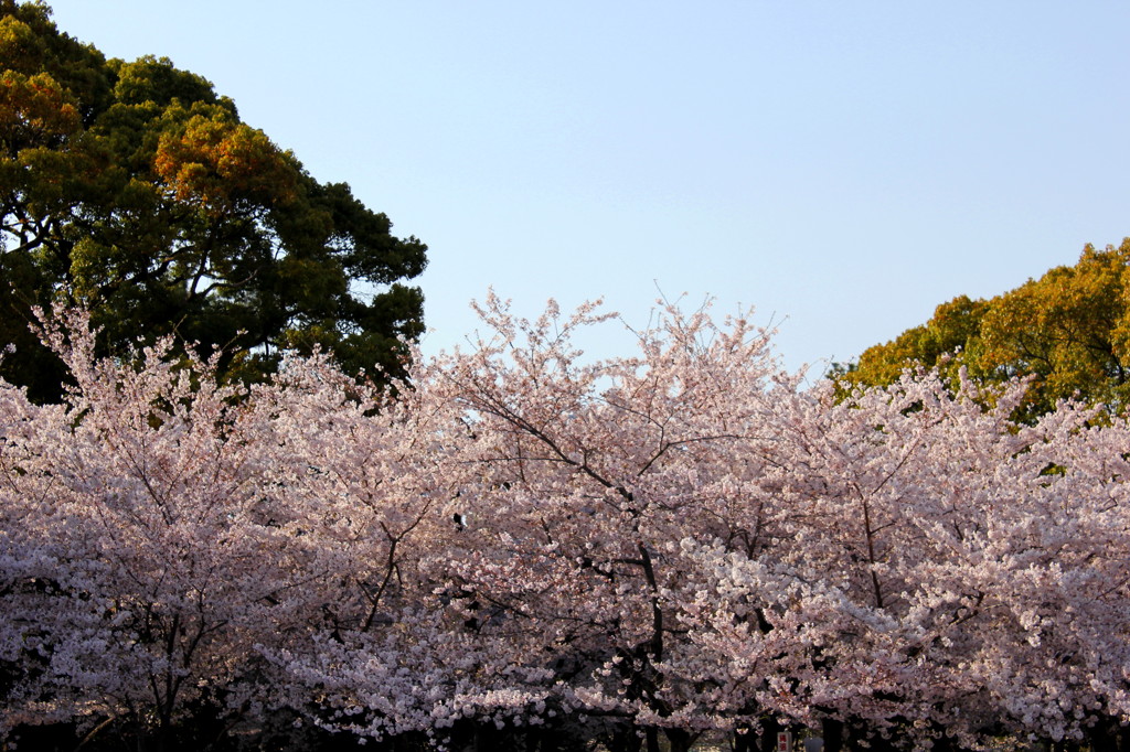 小さな春