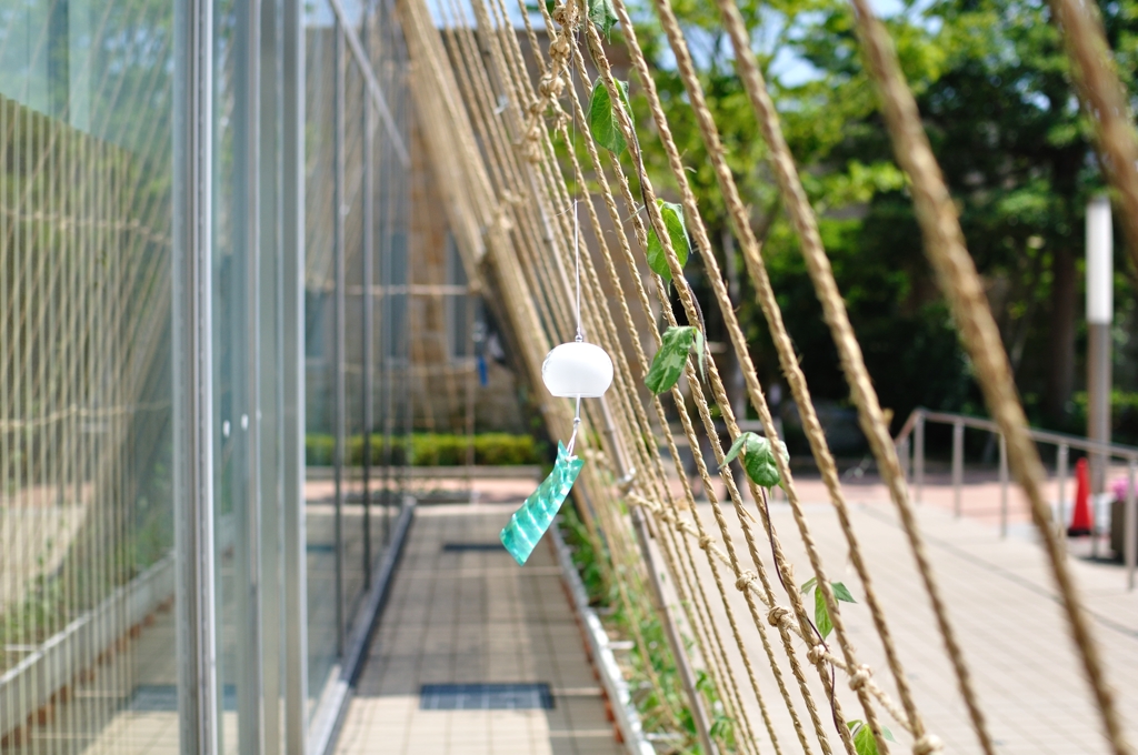 急げ！節電