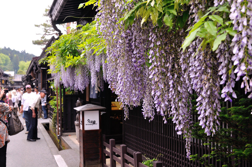 暖簾ふじ