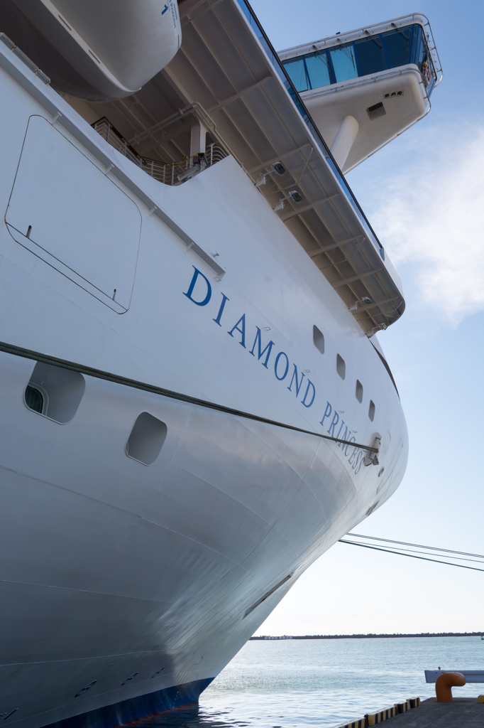 "Diamond Princess"
