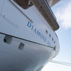 "Diamond Princess"