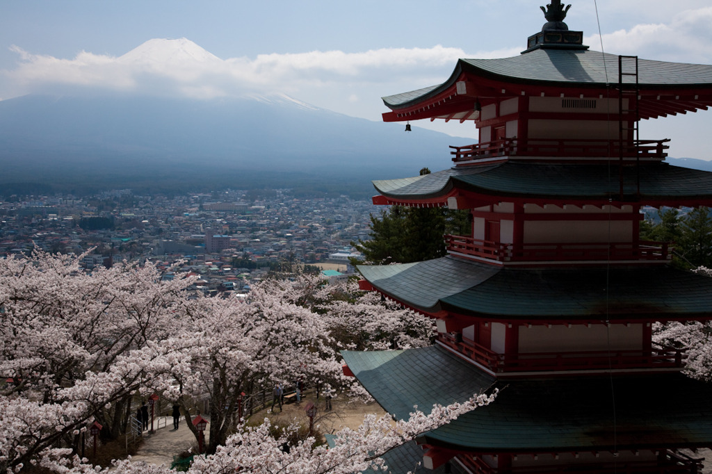 さくらと富士山