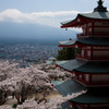 さくらと富士山