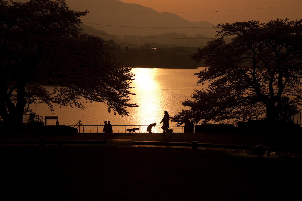 津久井湖の夕日　（2010.04.06　17:21）