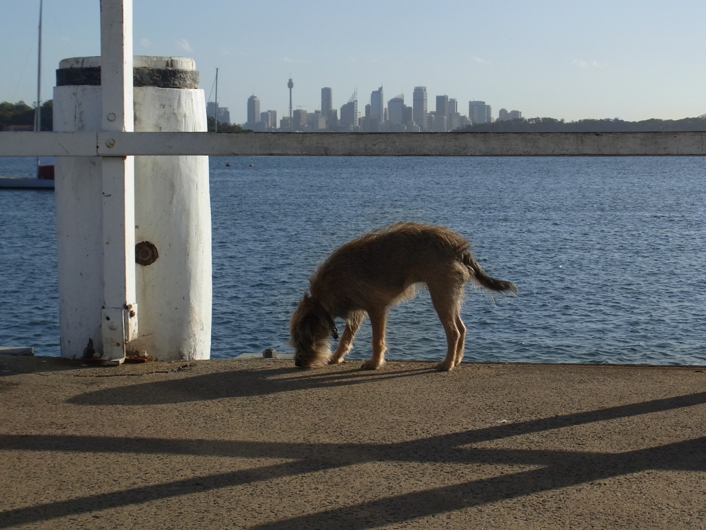 2010_0413 シドニー