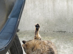 お手上げ