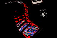 Black Spider 2