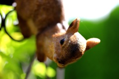 どうしたの？