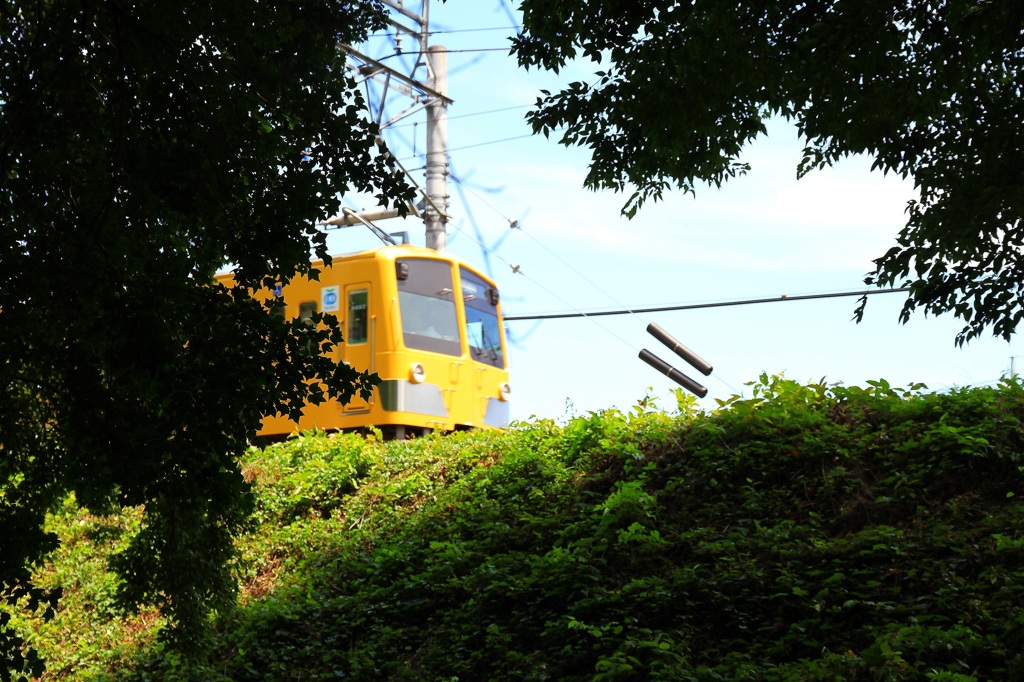 真夏の疾走