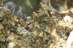 水紋