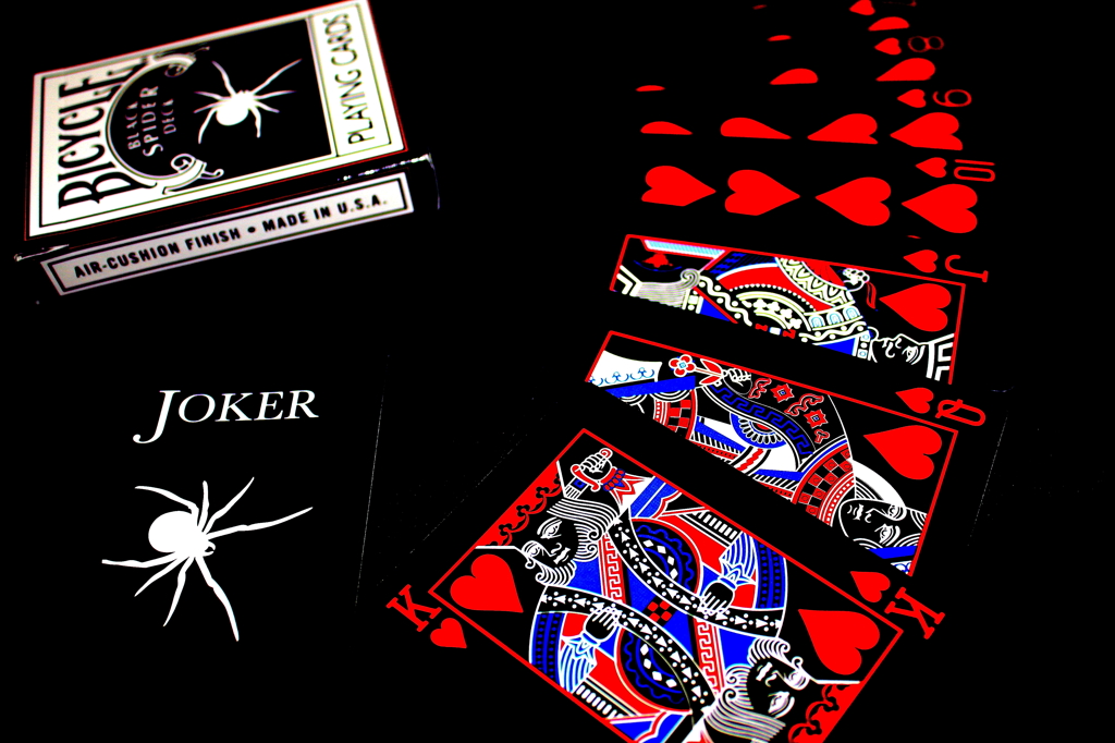 Black Spider 1