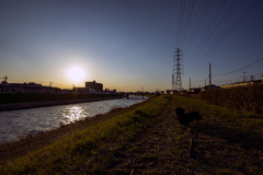 夕暮れ散歩