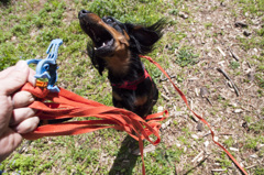 洗濯バサミ返してっ