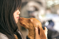 好き好きお姉ちゃん