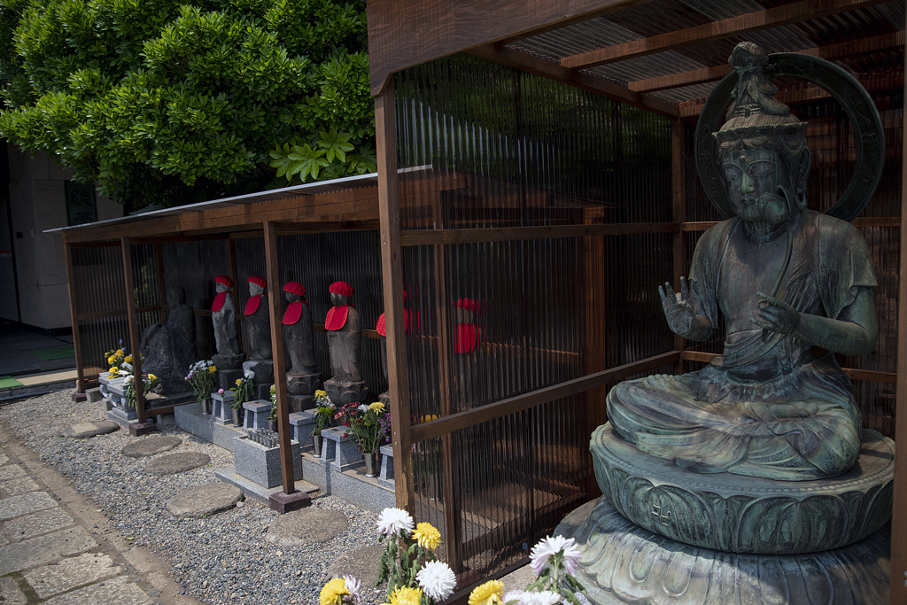 本堂工事中・・・