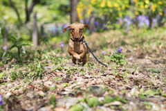 _IMG1203おきにいりのスポット