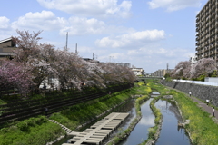 また来年