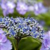 6月