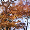 日比谷公園