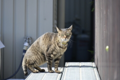 怒っていらっしゃる