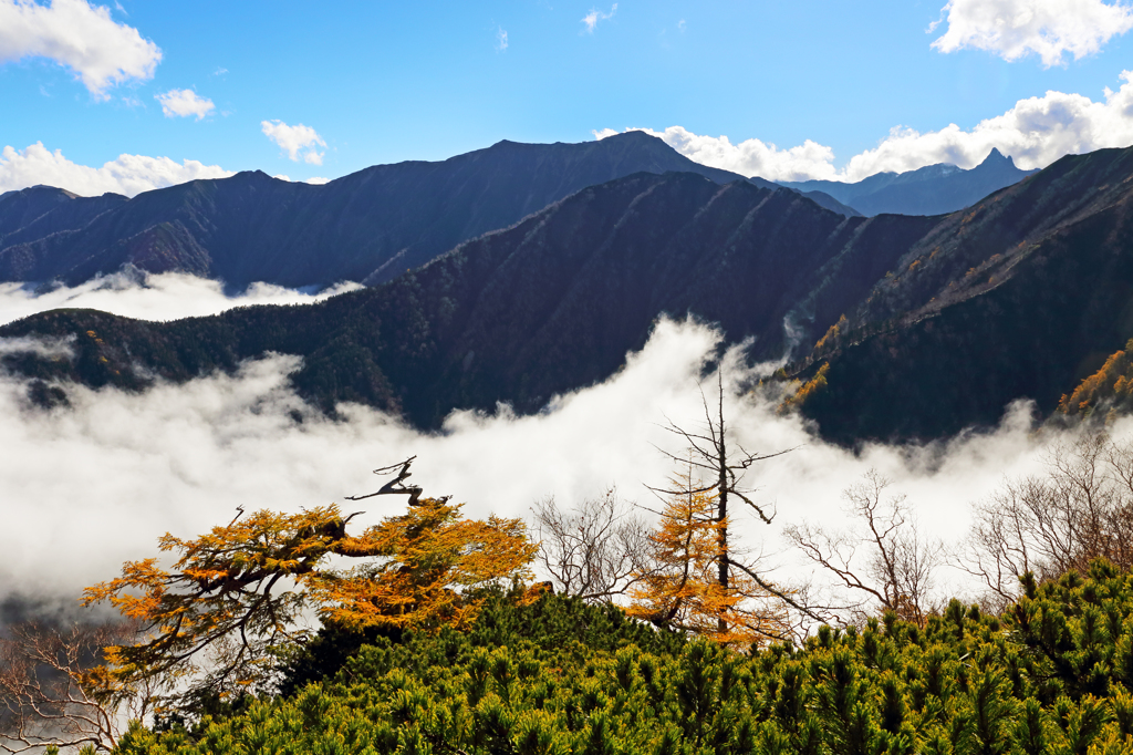 雲上の光