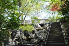 美術館へ続く階段