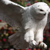 幸せの・・♪