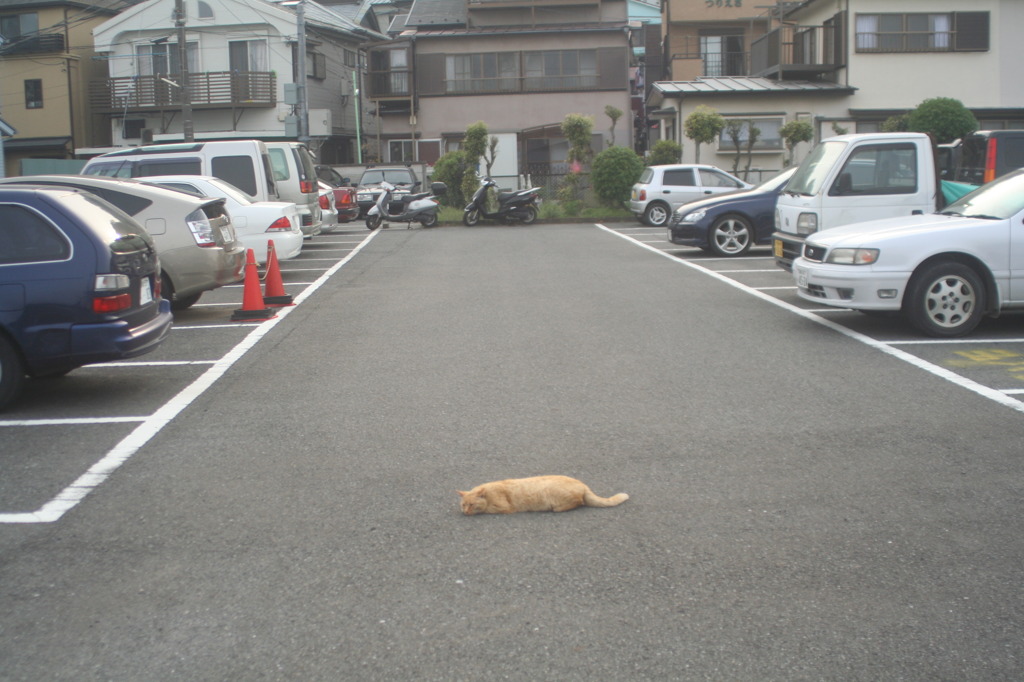 ぽつん