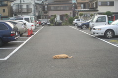ぽつん