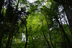 DSC02957