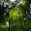 DSC02957