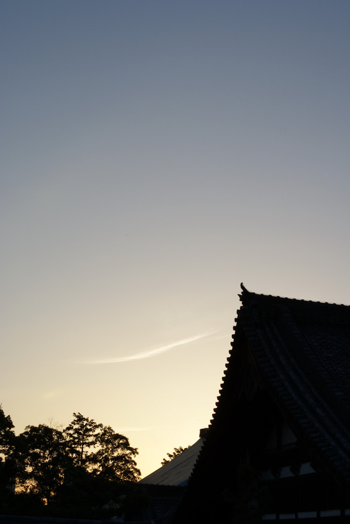 DSC05741