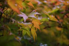 DSC03019