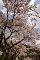 DSC05001