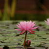 DSC01948