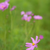 DSC02165