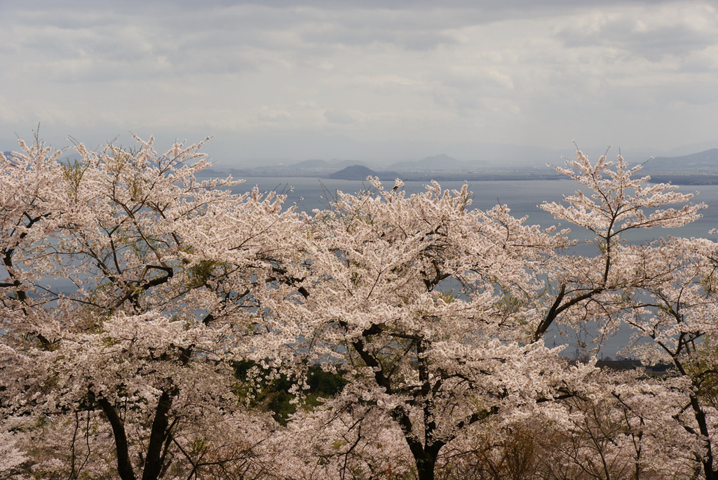 DSC05006