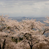 DSC05006