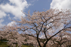 DSC05025