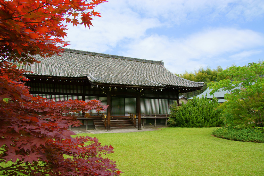 DSC06013