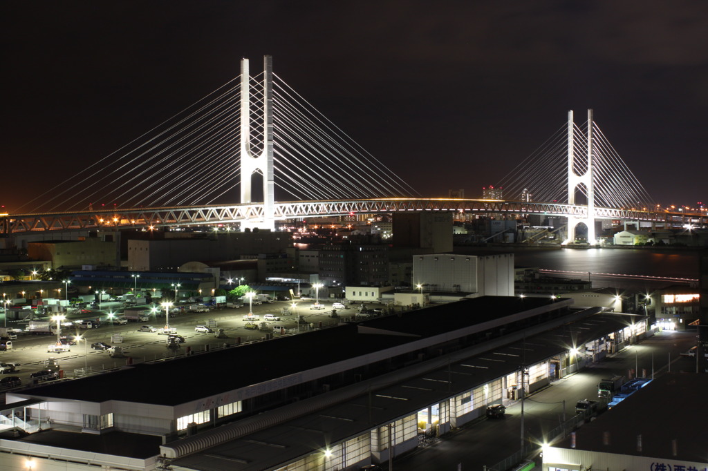 Seven Bridge　東神戸大橋
