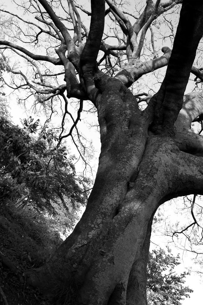 静なる躍動・２