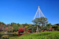 兼六園？いや東京の昭和記念公園です。