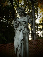 P5020208