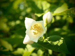 P5020157