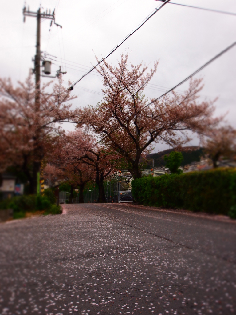 無残