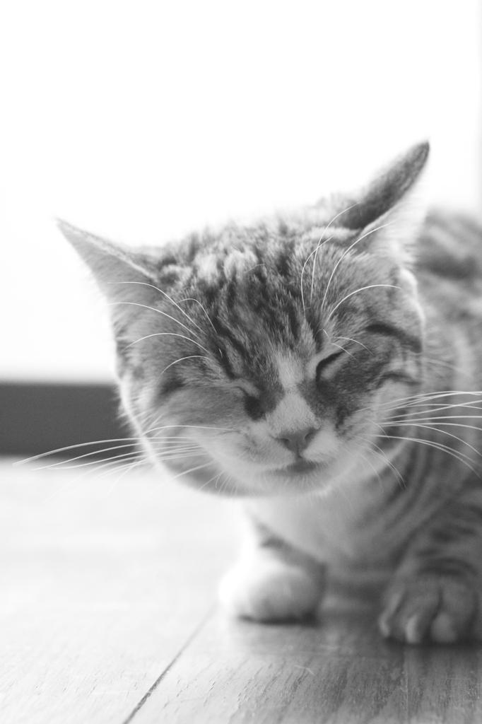 もう～眠たい